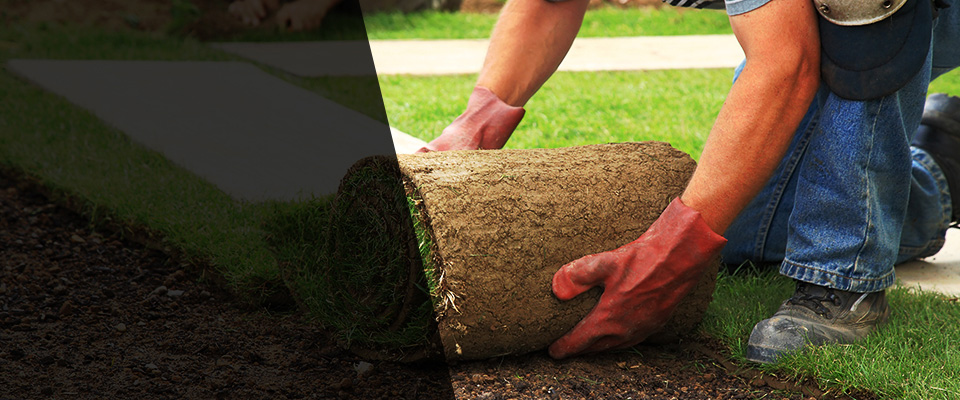Oakboro Landscapers